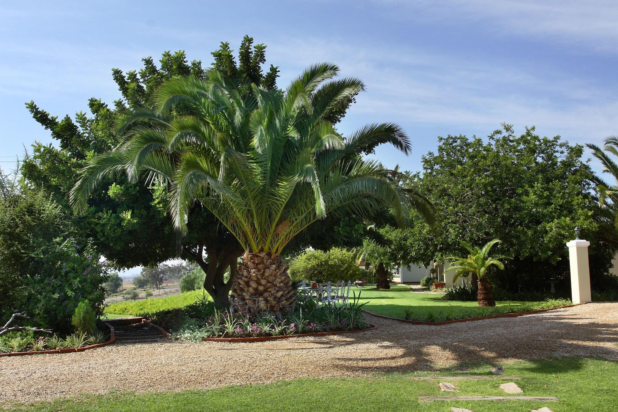 La Plume Boutique Hotel & Spa Oudtshoorn Kültér fotó
